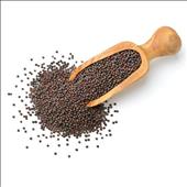 Mustard Seeds 100g