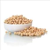 Soyabean Seeds 500g