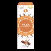 PATANJALI DRY DHOOP STICKS MUSK 8N