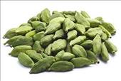 Green Elachi 10₹