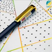 Riton Gold Ball Pen 1N