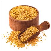Yellow Mustard 100g
